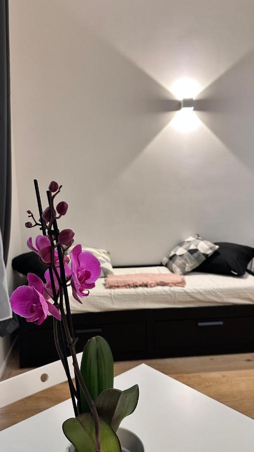 Centro Storico Caruggi 2min Acquario Pellicceria Superior Loft Palazzo Rolli Appartement